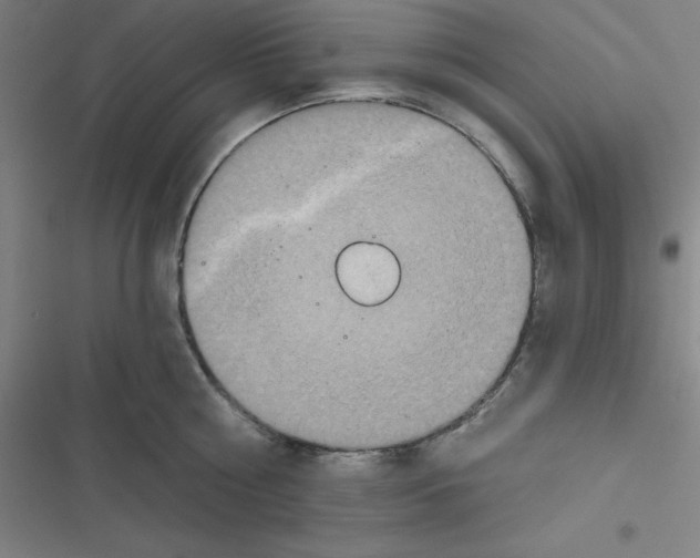 X0000116790810201001081312