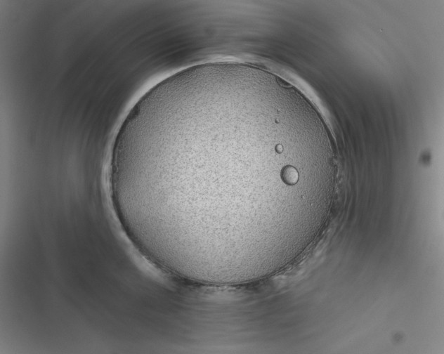 X0000116790811201001081312