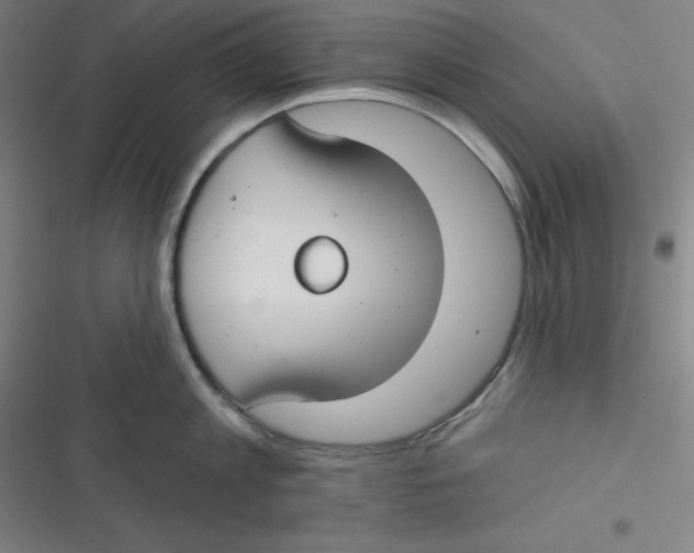 X0000116790813201001081312