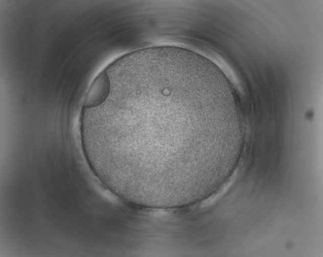 X0000116790814201001081312