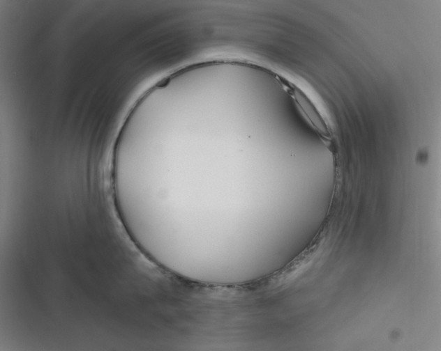 X0000116790815201001081312