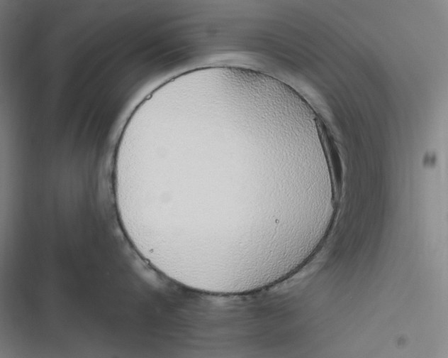 X0000116790816201001081312