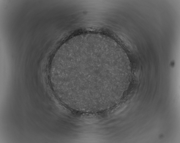 X0000116790817201001081311