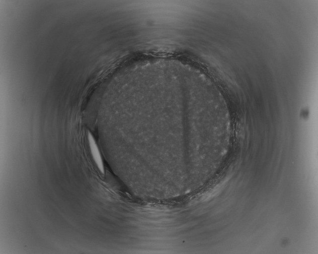 X0000116790818201001081311