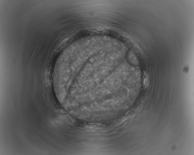 X0000116790819201001081311