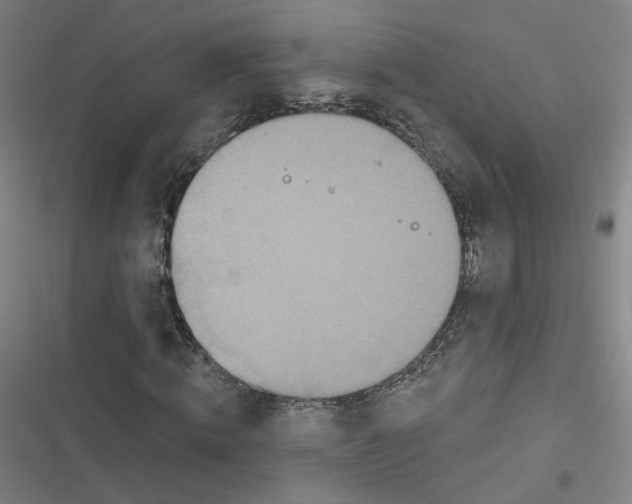 X0000116790820201001081311