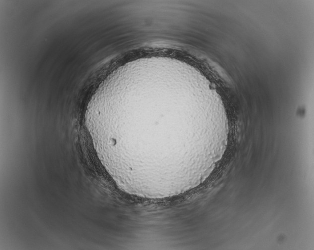 X0000116790821201001081311