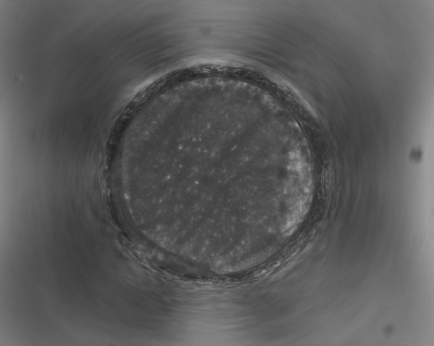 X0000116790822201001081311