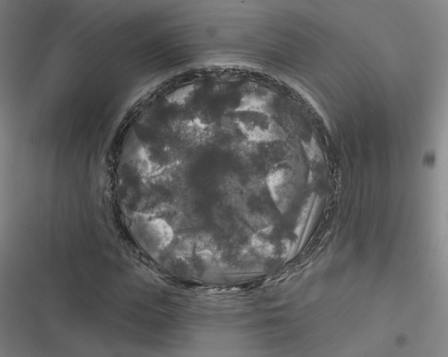 X0000116790823201001081311