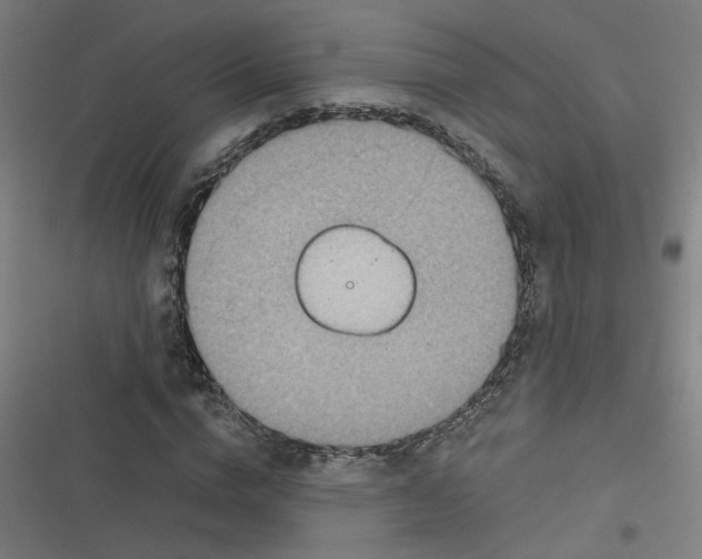 X0000116790824201001081311