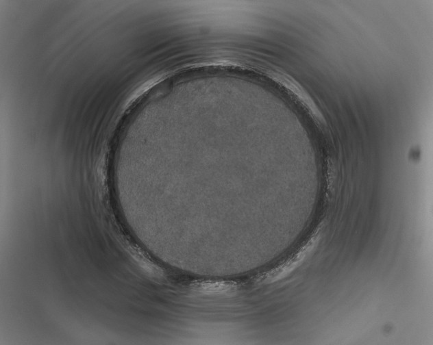 X0000116790826201001081311