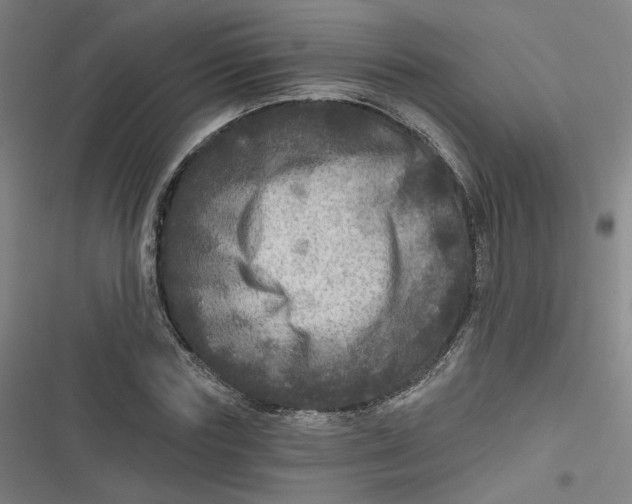 X0000116790827201001081311