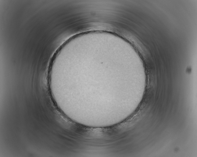 X0000116790828201001081311