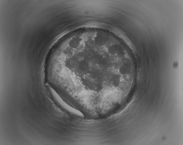 X0000116790829201001081311