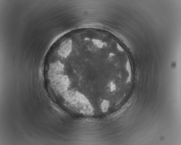 X0000116790830201001081312