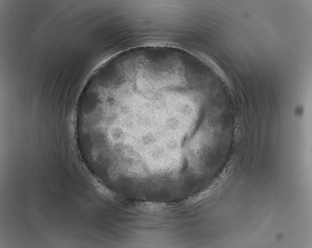 X0000116790831201001081312