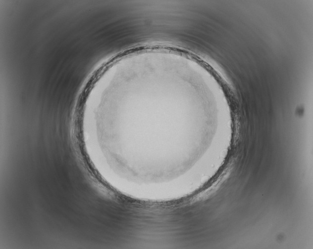 X0000116790832201001081312