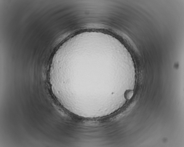 X0000116790833201001081312