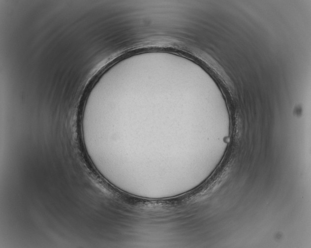 X0000116790834201001081312