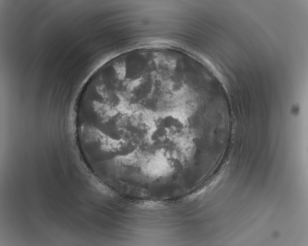 X0000116790835201001081312