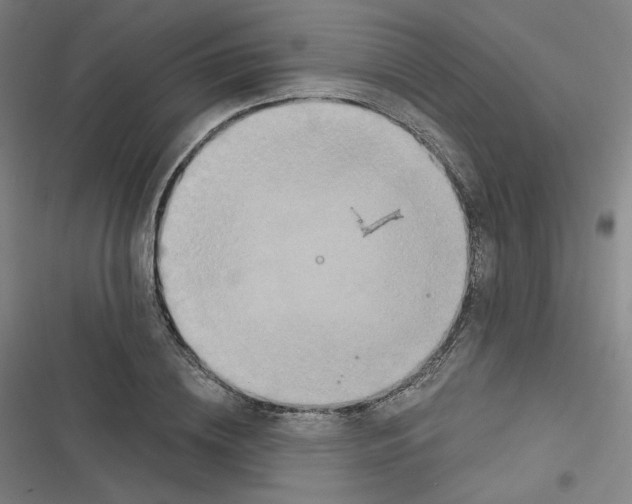 X0000116790836201001081312