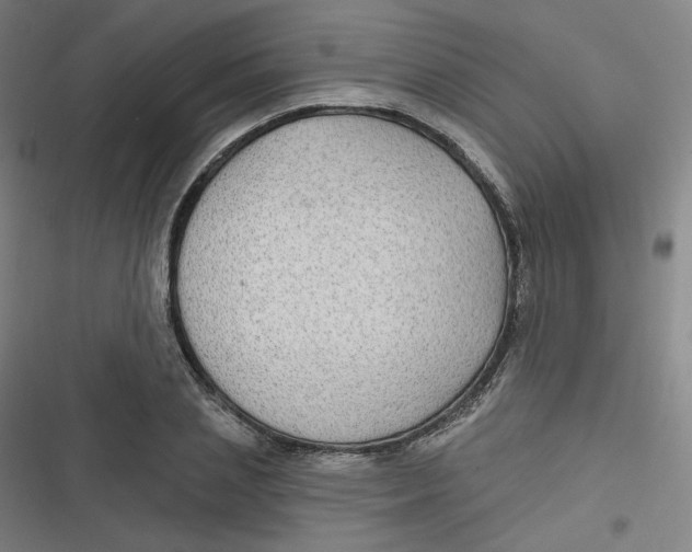 X0000116790837201001081312