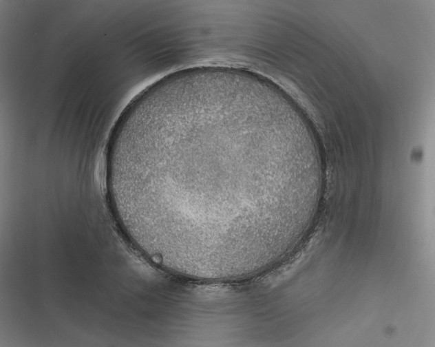 X0000116790838201001081312