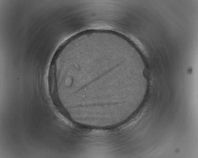 X0000116790840201001081312