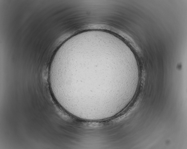 X0000116790841201001081312