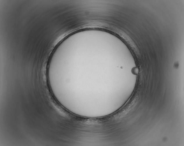 X0000116790842201001081312