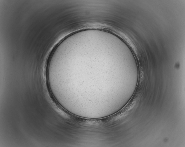 X0000116790843201001081312