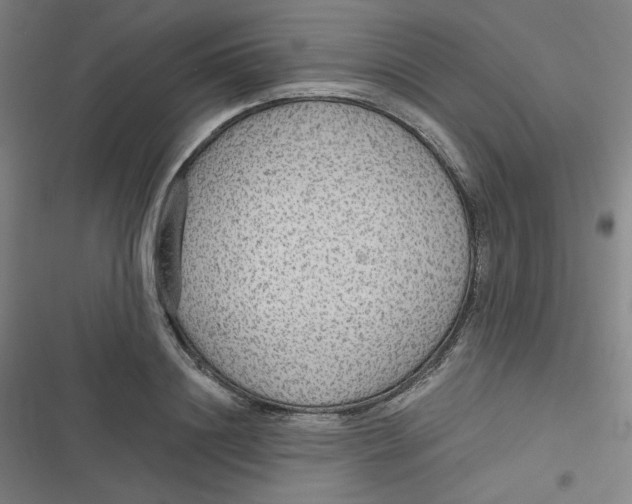 X0000116790844201001081312