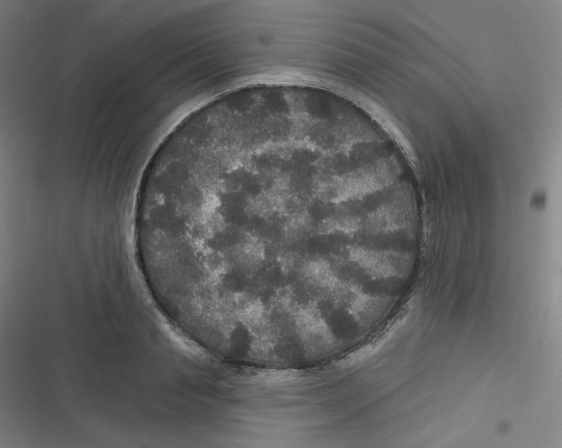 X0000116790845201001081312