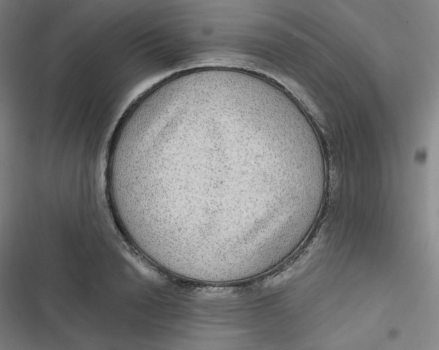 X0000116790846201001081312