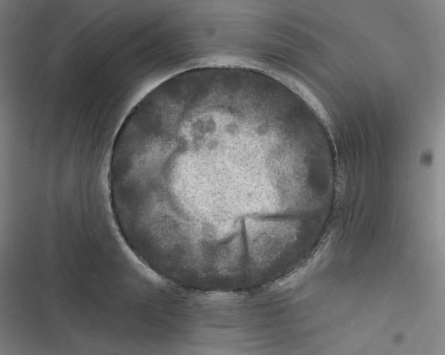 X0000116790847201001081312