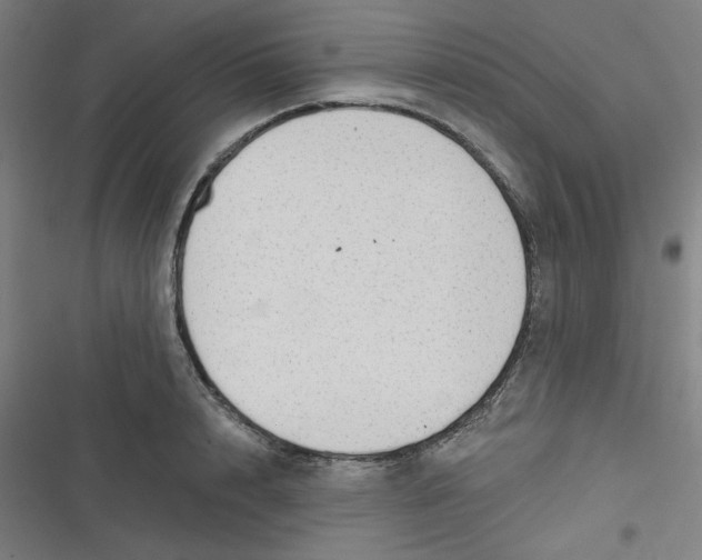 X0000116790848201001081312