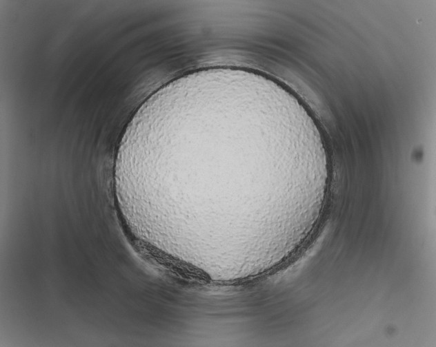 X0000116790849201001081312