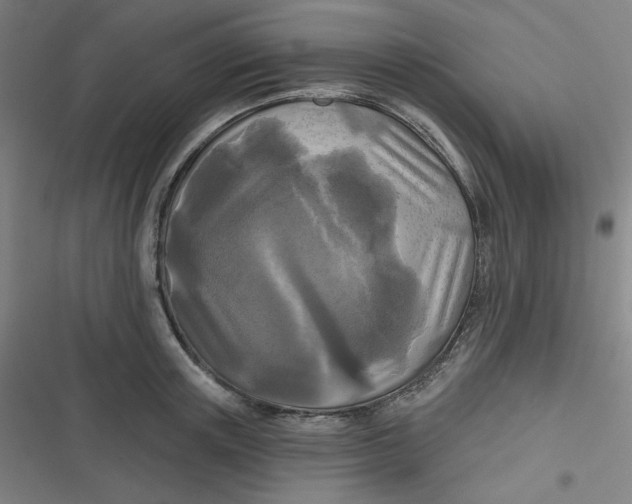 X0000116790851201001081312