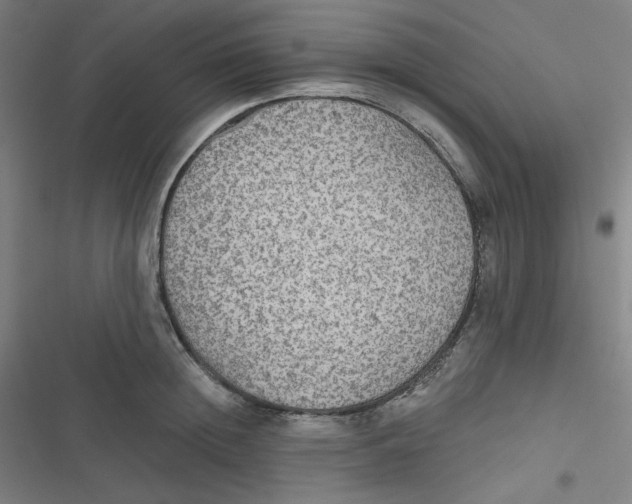 X0000116790852201001081312