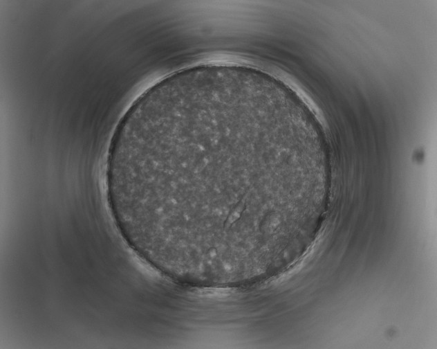 X0000116790853201001081312