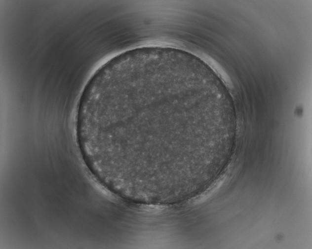 X0000116790854201001081312