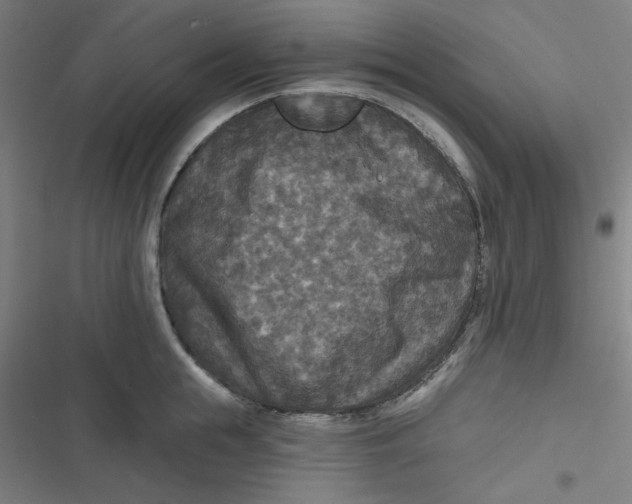 X0000116790855201001081312