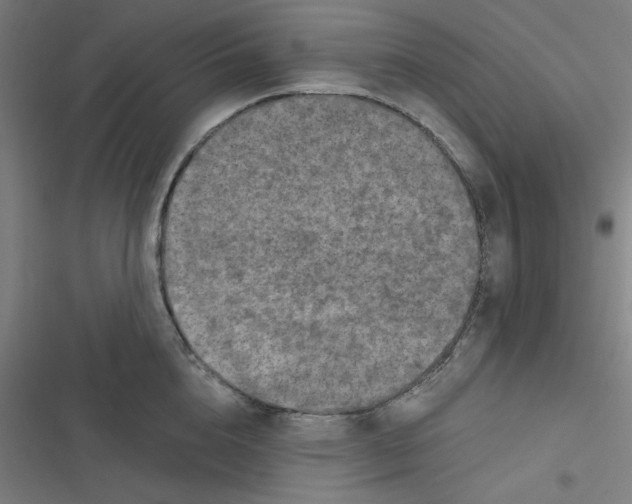 X0000116790856201001081312