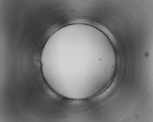 X0000116790857201001081312