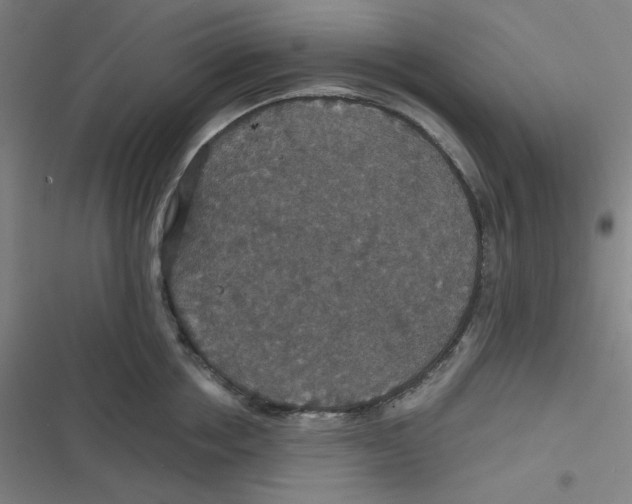 X0000116790858201001081312