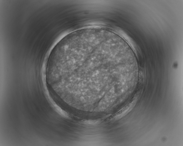 X0000116790859201001081312