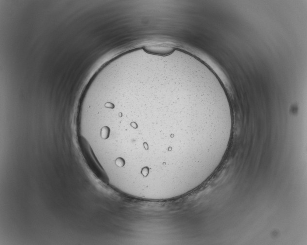 X0000116790861201001081312