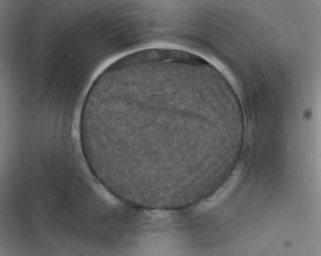 X0000116790862201001081312