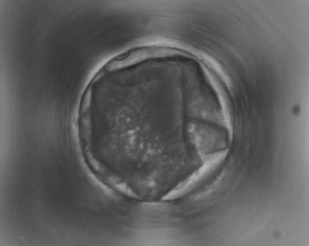 X0000116790863201001081312