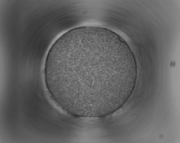 X0000116790864201001081312